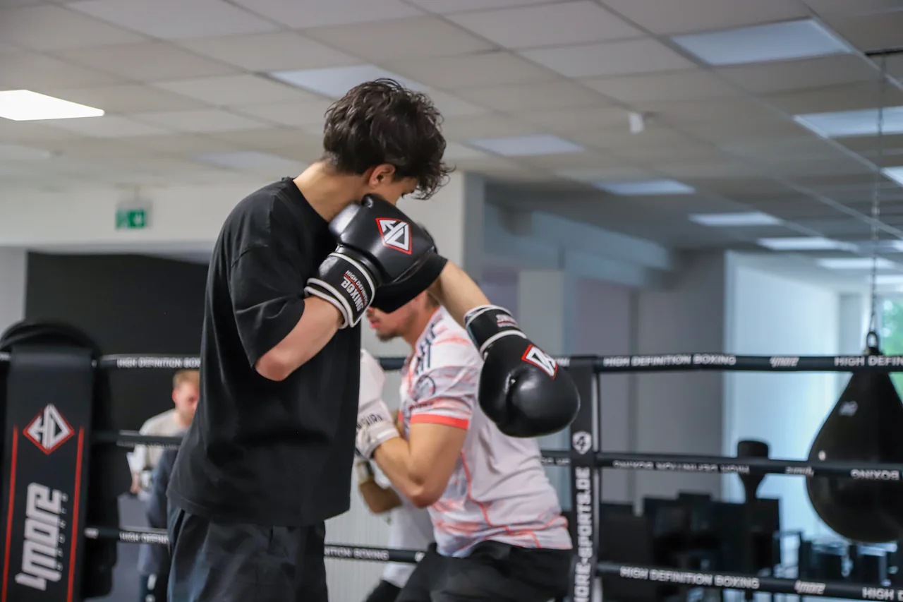Zwei Boxer beim konzentrierten Techniktraining