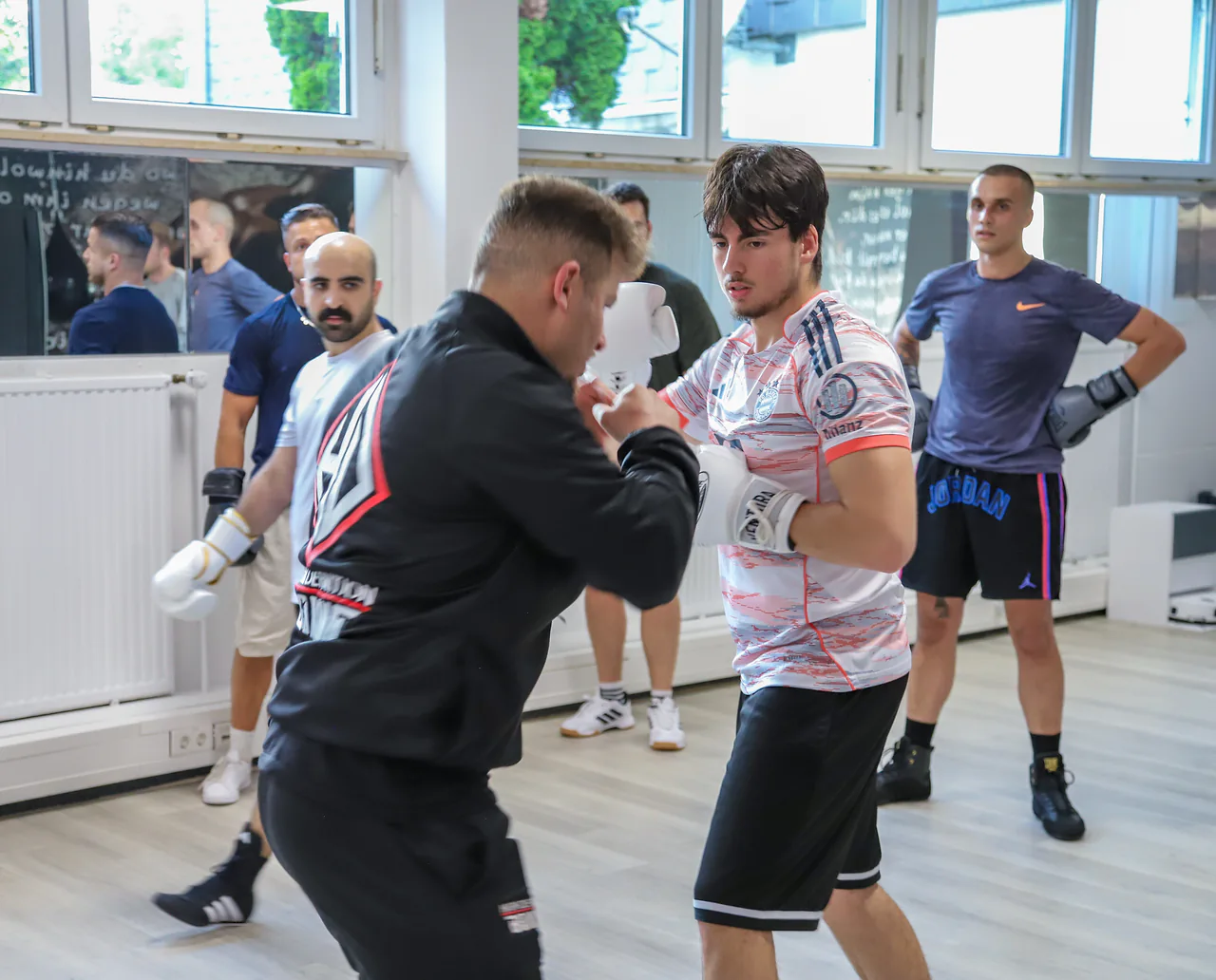 Boxer beim Partnertraining vor der Fensterfront