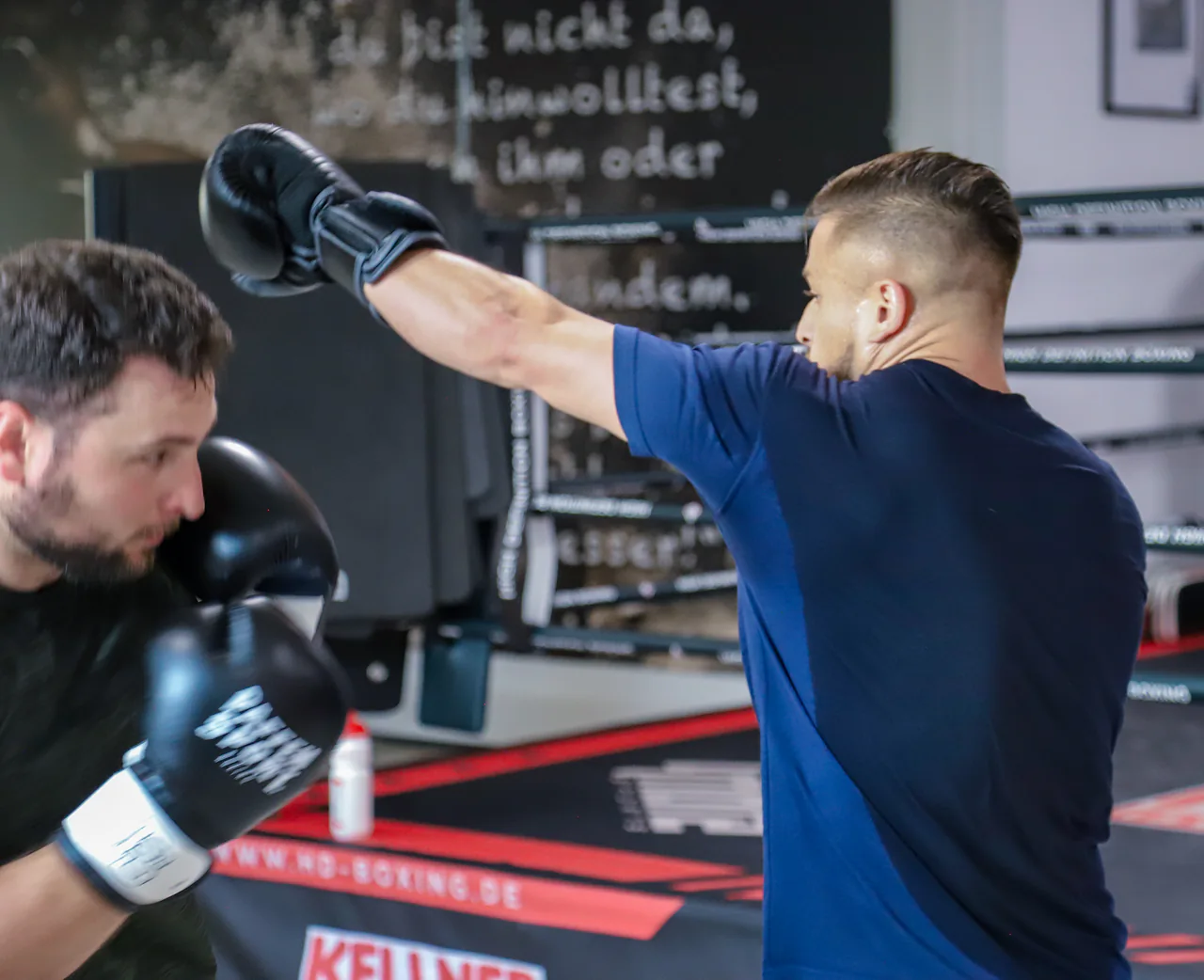 Boxer trifft die Pratze seines Trainingspartners